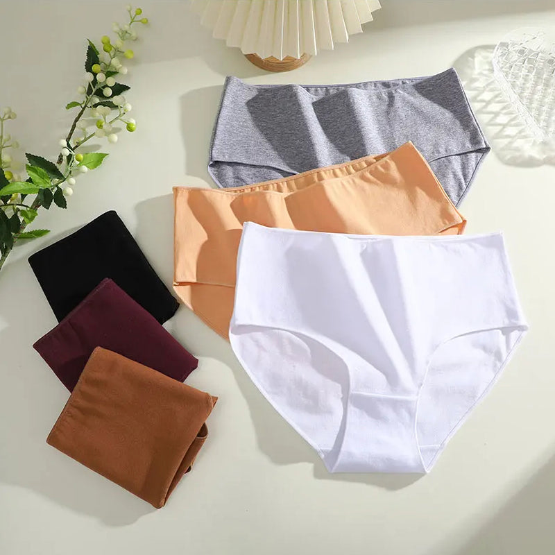 Sofia Amoretti Cotton Mid-Rise Briefs Set