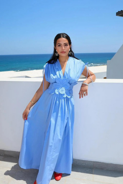Anastasia | Women's Floral Appliqué Pleated Maxi Dress