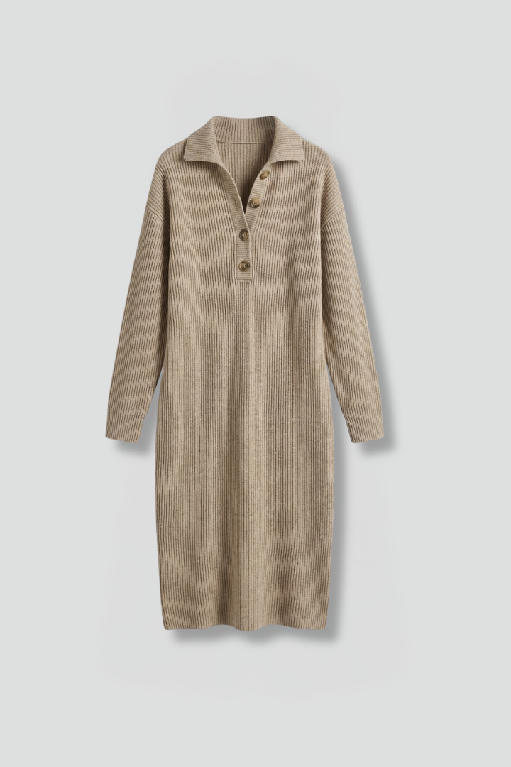 Aria | Women's Ribbed Button Placket Knit Dress