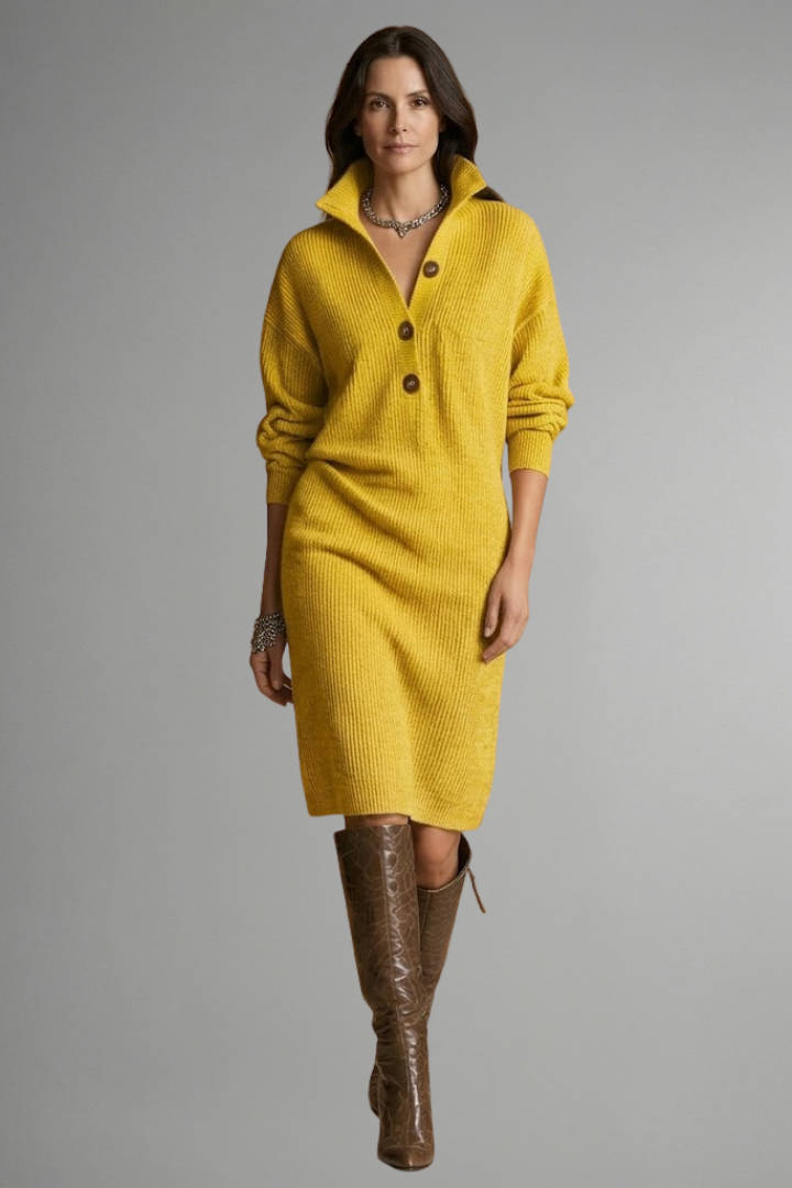 Aria | Women's Ribbed Button Placket Knit Dress