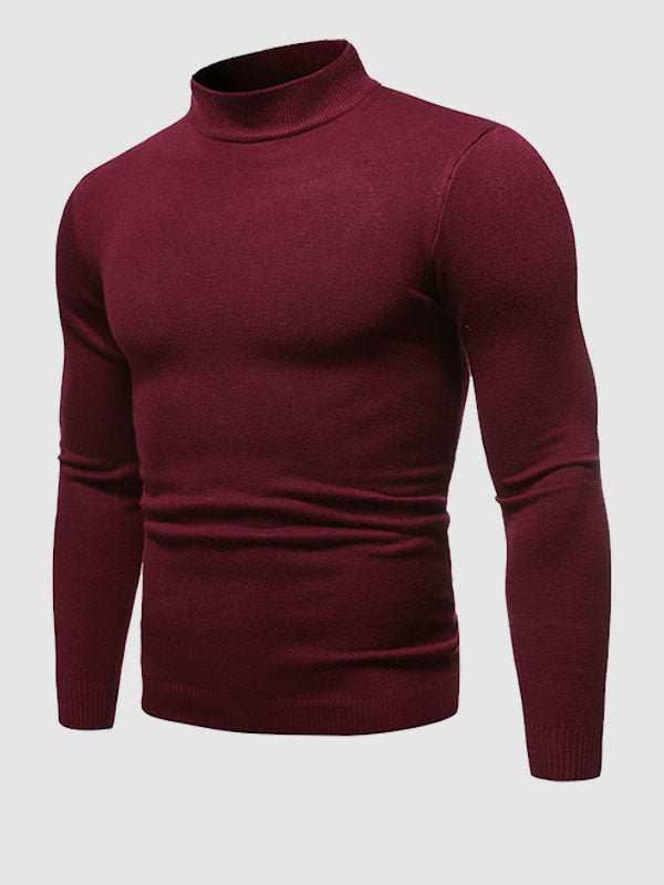 Darryl | Men's Slim-Fit Turtleneck Pullover Sweater