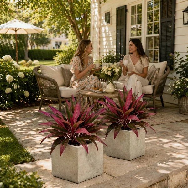 Zivara | Faux Cordyline Outdoor Planter Set