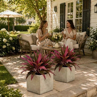 Zivara | Faux Cordyline Outdoor Planter Set