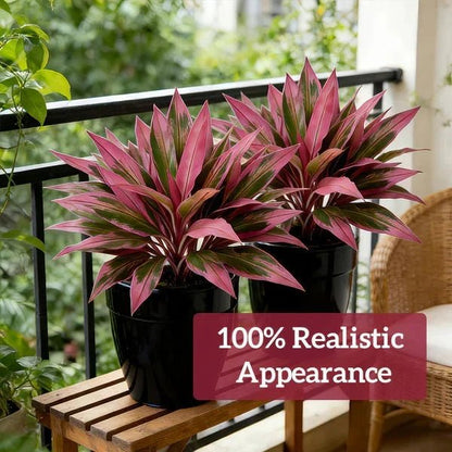 Zivara | Faux Cordyline Outdoor Planter Set