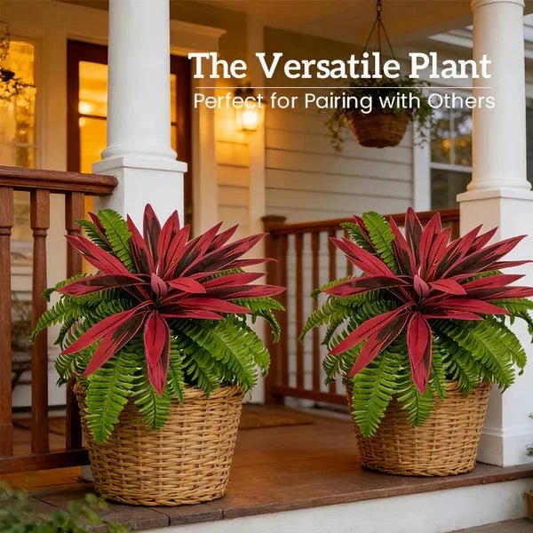 Zivara | Faux Cordyline Outdoor Planter Set
